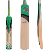 Cricket Bat